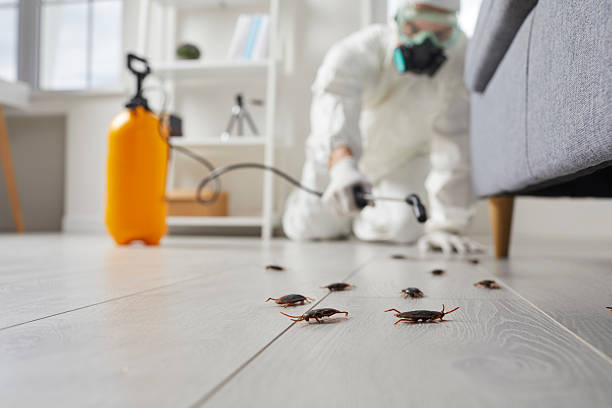 Post-Treatment Bed Bug Interceptor Monitoring in Santaquin