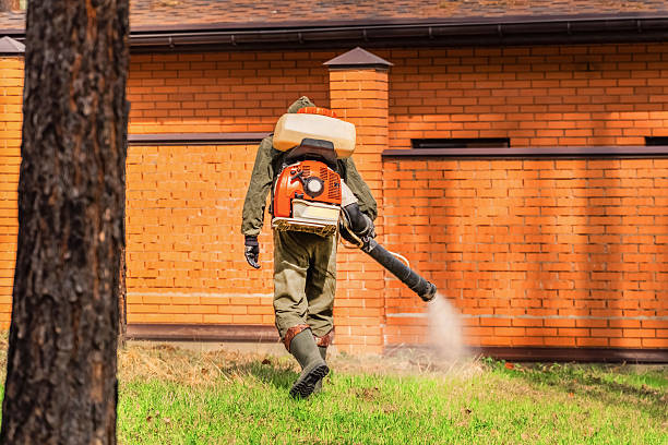 Bed Bug Clearance Verification and Documentation in Santaquin